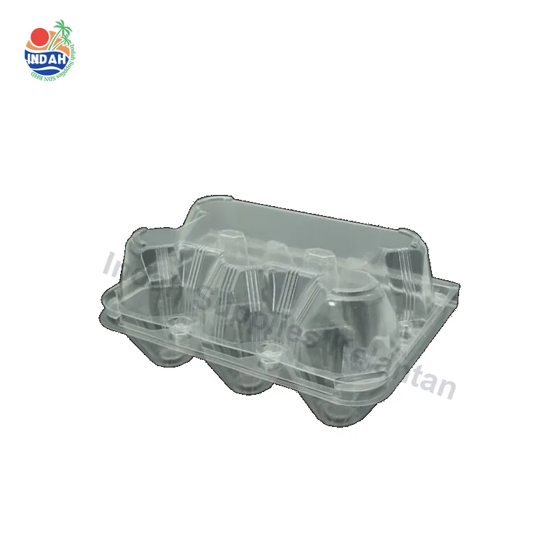 Dulang Telur BENXON EG-6S (lutsinar, berkunci) — Indah Plastic Trading Kelantan