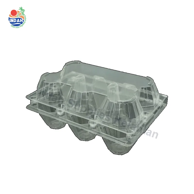 Dulang Telur BENXON EGG-6L (lutsinar, berkunci) — Indah Plastic Trading Kelantan