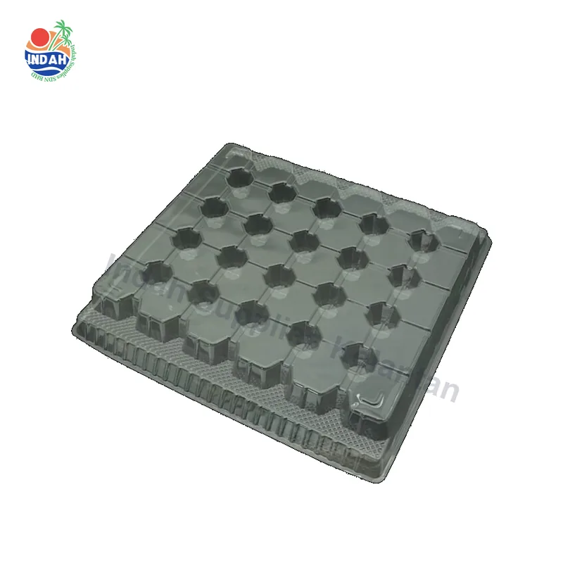 Bekas Telur BENXON EGG COVER (lutsinar) — Indah Plastic Trading Kelantan