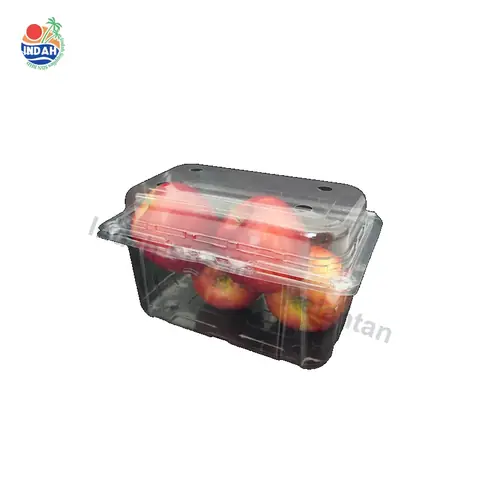 Bekas Buah & Sayur BENXON BX-256 (berkunci) — gambar 3