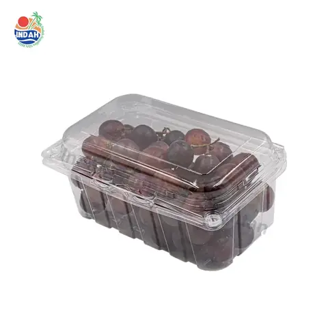 Bekas Buah & Sayur BENXON BX-500 (500g, berkunci) — gambar 4