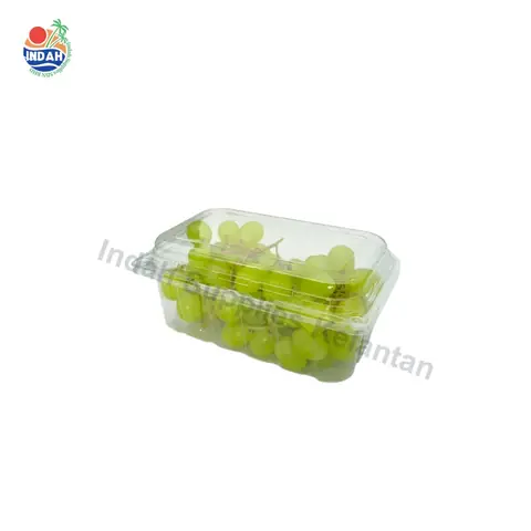 Bekas Buah & Sayur BENXON BX-500 (500g, berkunci) — gambar 2