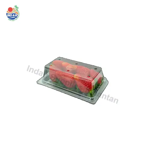 Bekas Buah & Sayur PET BENXON BX-IV-250 (250g) — gambar 3