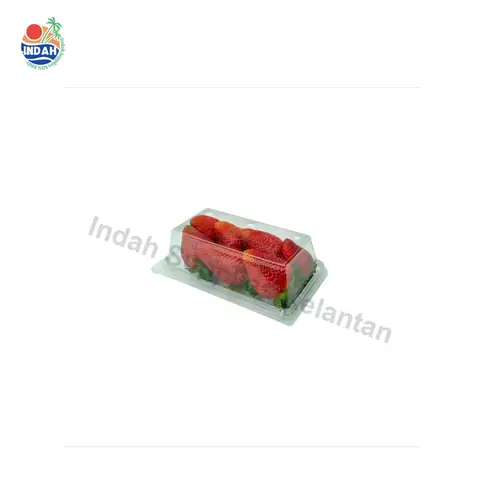 Bekas Buah & Sayur PET BENXON BX-IV-250 (250g) — gambar 2