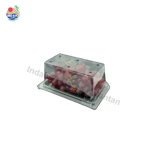 Bekas Buah & Sayur PET BENXON BX-IV-500 (500g) — gambar 5