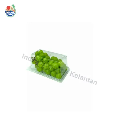 Bekas Buah & Sayur PET BENXON BX-IV-500 (500g) — gambar 3