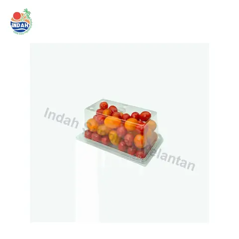 Bekas Buah & Sayur PET BENXON BX-IV-500 (500g) — gambar 2