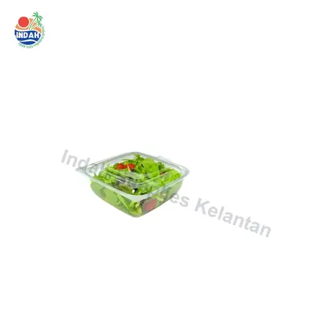 Mangkuk Buah & Sayur PET BENXON BX-Q1000 (1000ml, lutsinar, penutup) — gambar 2