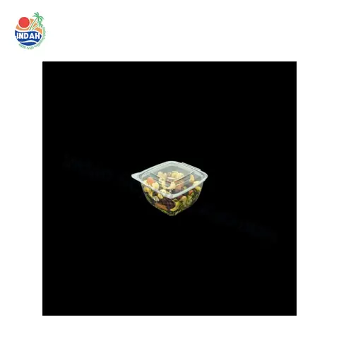 Mangkuk Buah & Sayur PET BENXON BX-Q450 (450ml, lutsinar, penutup) — gambar 3