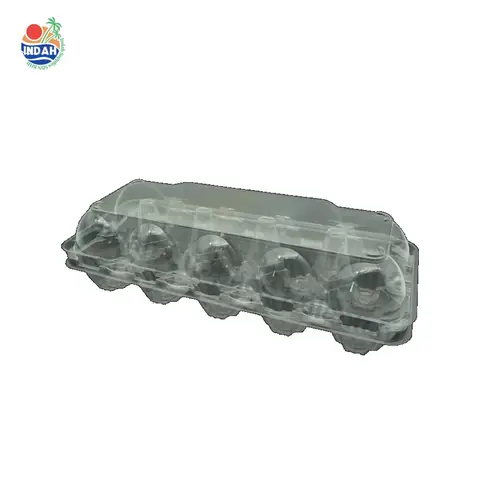 Bekas Telur BENXON EGG-10 (lutsinar, berkunci)