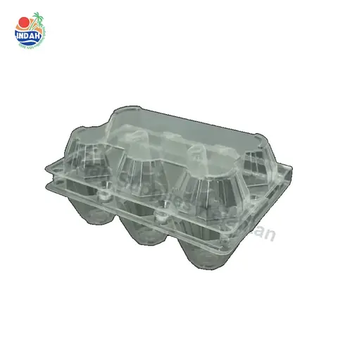 Dulang Telur BENXON EGG-6L (lutsinar, berkunci)