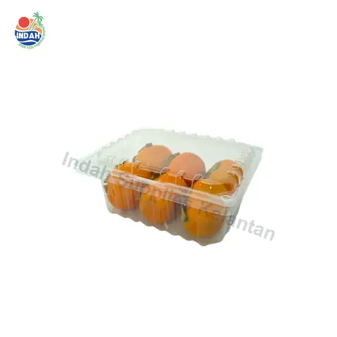 Bekas Buah & Sayur BENXON F-200 (1kg) — gambar 2