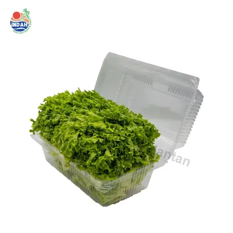 Bekas Buah & Sayur BENXON OPS-C48 (berkunci) — gambar 2